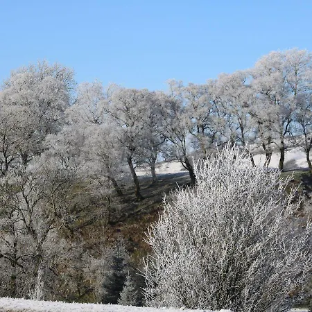 アパート Macaw No 4 *