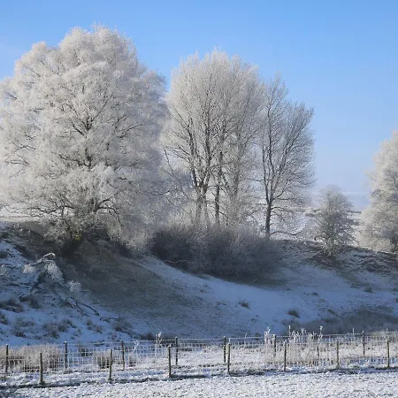 Macaw No 4 * Kirkby Stephen