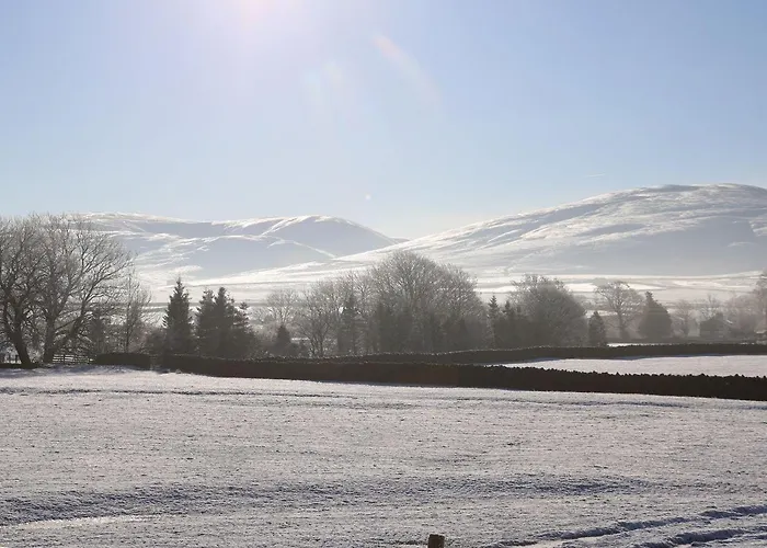 Apartamento Macaw No 4