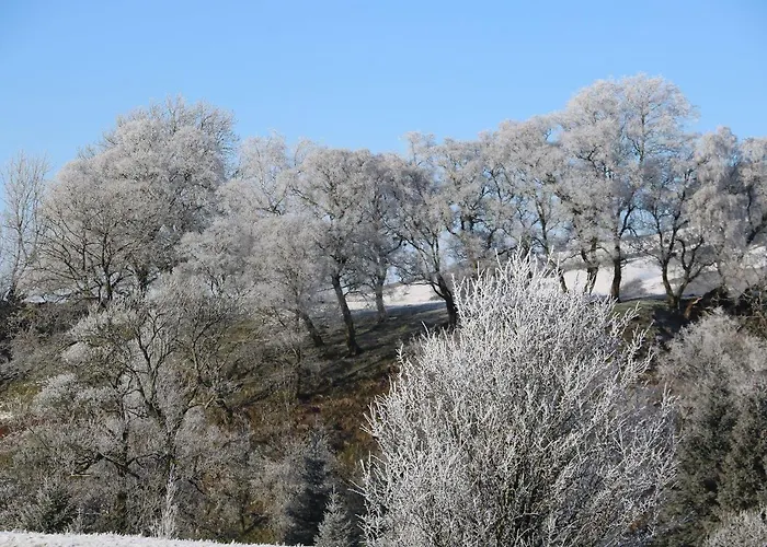 Apartamento Macaw No 4 *