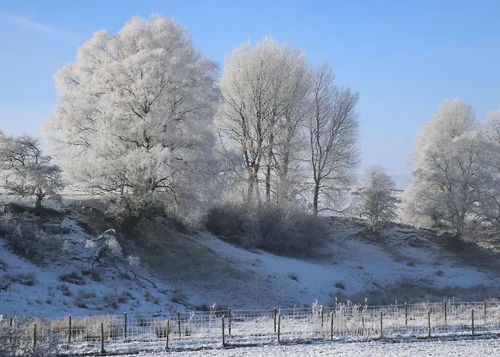 Macaw No 4 * Kirkby Stephen